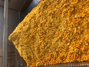 Orange Peel