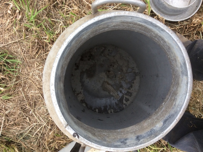 Under Auction - 1x Aluminium Regal Colac Milk Can - 2% + GST Buyers Premium On All Lots 