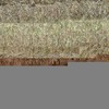 EOI 'New Season' Wheaten Hay 8x4x3 Bales 