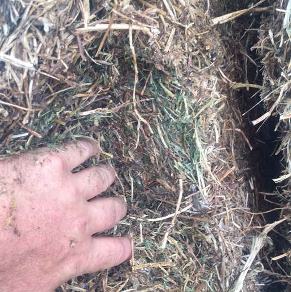 200mt Vetch Hay 620-650kg 8x4x3 Bales