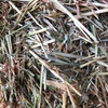 150mt Oaten Hay 650kg 8x4x3 Bales + Freight