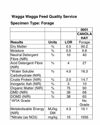 Canola Hay 8x4x3 Bales New Season + Freight