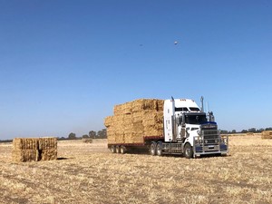 Oaten Hay 8x4x3 - New Season 2020