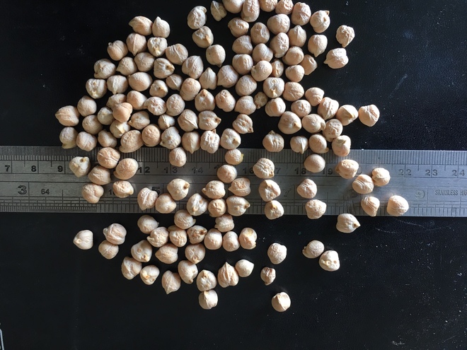 Chickpeas Kabuli #2 Grade Approx12.5 Tonne