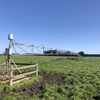 50 acre Pearce Pivot 