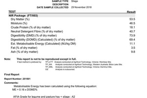 Clover Rye Silage Bales