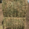 Canola Hay