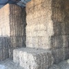 Vetch/ Clover Hay   45 Bales  ( 1 Semi load )