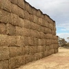 Vetch Hay 670kg 8x4x3 Bales