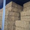 350 x 8x4x3 Bales of Oaten Hay Ave 650 Kg's