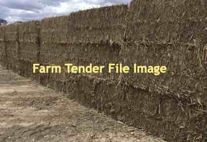 Forage Sorghum 330kg 8x3x3 Bales