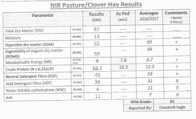 250 m/t Pasture Hay in 8x4x3 Bales