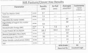 250 m/t Pasture Hay in 8x4x3 Bales