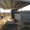 600 head Cattle Yards E.O.I for sale & removal