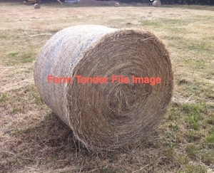 Round hay bales