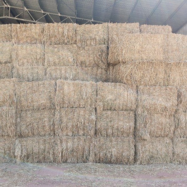 Oaten hay