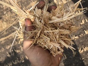 Windrowed and Header Trailed Wheaten Straw 8x4x3 Bales 530+ Kg's 