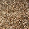 Feed Lentils - Colour Sortex Rejects and Screenings