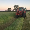 Pasture Hay 4x4 Round Bales