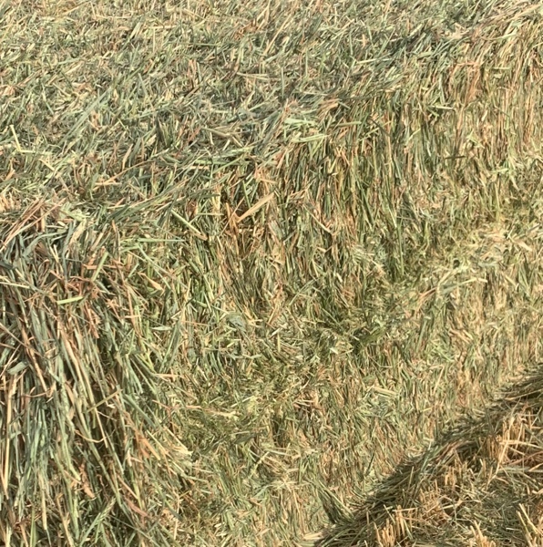 400mt Wheaten/Barley Hay 'New Season'