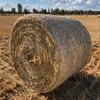 Oaten Hay 5x4 Round Bale 