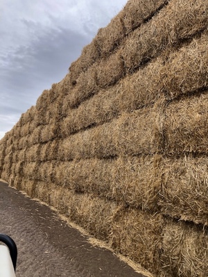 Irrigated Wheaten Straw 8x4x3 Bales