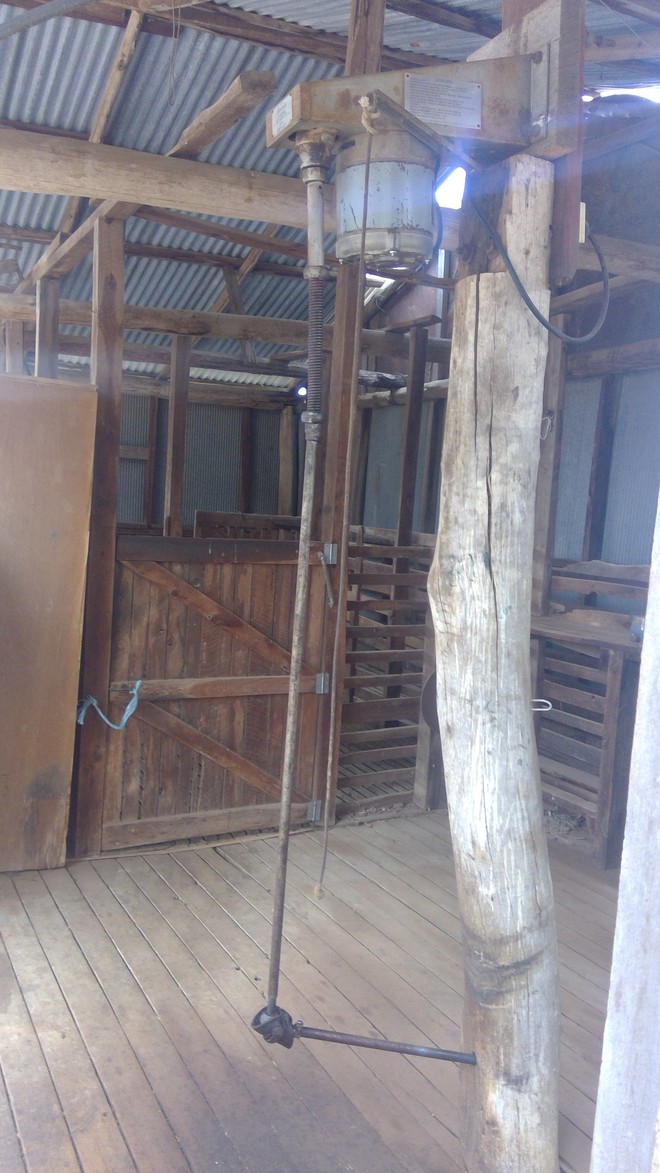 Sunbeam Shearing Plant