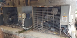 Mueller Milk Vat 10,000lt