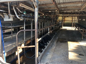 Dairy Equipment - Expressions of interest