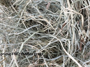 4x4, 4x3 and small squares rhodes grass plus other