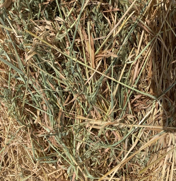  Oaten Hay  Approximately 300 - Rolls - To Be SOLD By the Bale