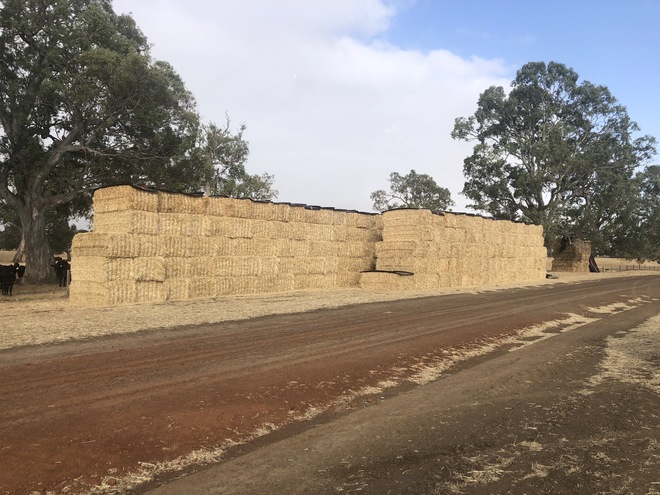 800mt Molasses Treated Barley Straw 8x4x3 Bales