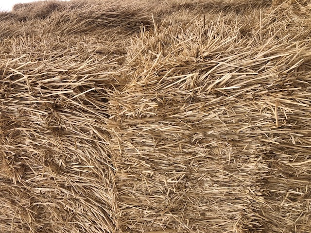 33t Header Trail Barley Straw 8x4x3 Bales  average 520kg