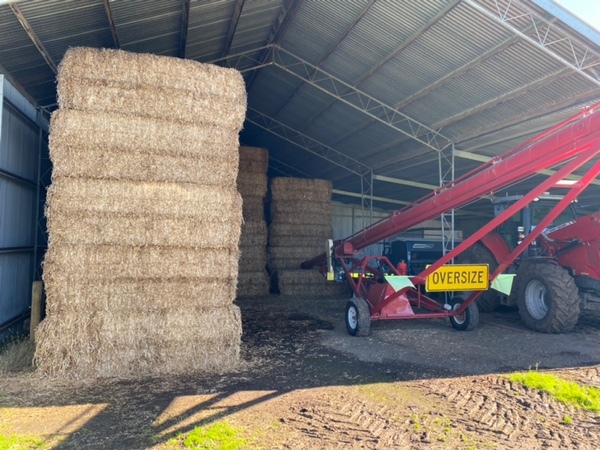 Pure Clover hay - 8x4x3 squares