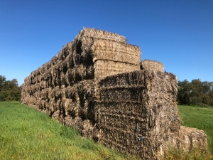 200mt Wheaten Straw 8x4x3 Bales