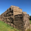 200mt Wheaten Straw 8x4x3 Bales