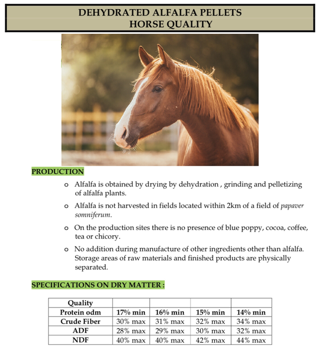 100% Dehydrated Lucerne/Alfalfa Pellets