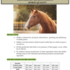 100% Dehydrated Lucerne/Alfalfa Pellets