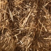 Wheat Straw