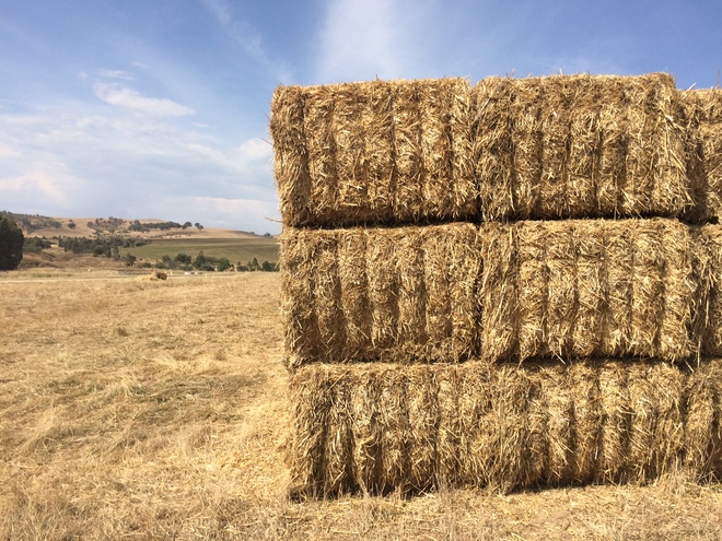 Triticale Straw 6x4x3
