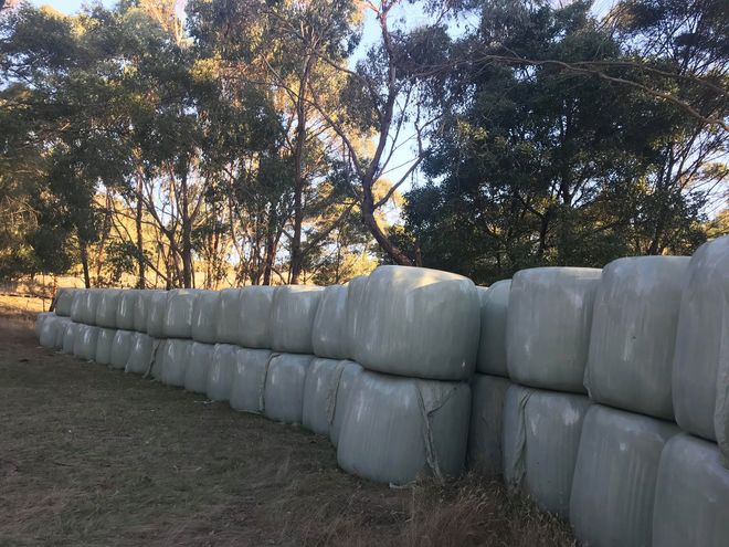 QUALITY Silage Bales For Sale
