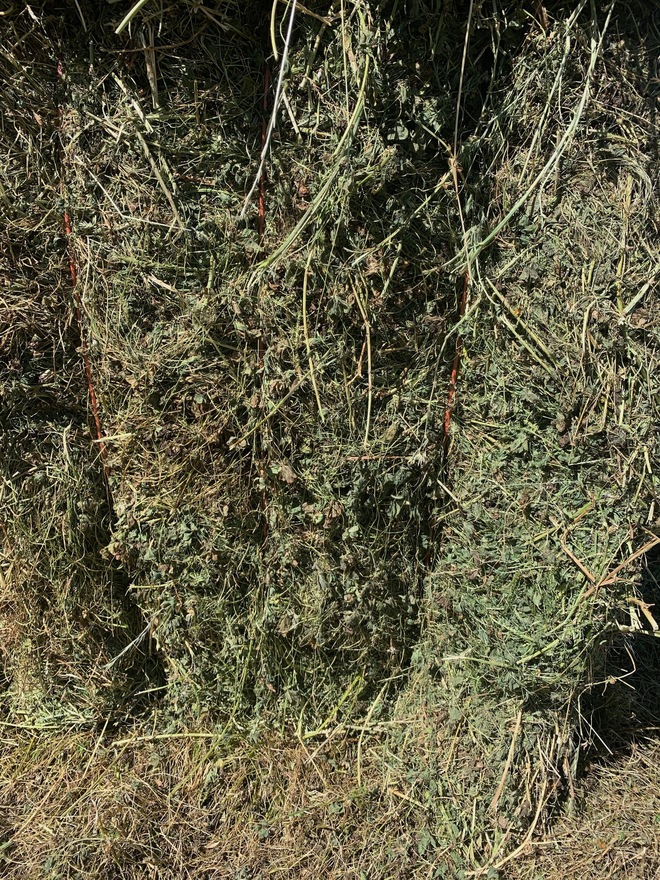 Lucerne 1st cut Hay 8x4x3 Bales