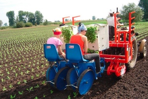 Transplanter ( Italian) Prices start from $9000.00