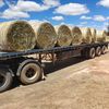 14 Rolls . Wheaten Hay - SOLD PER BALE 