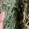 Lucerne Hay 8x4x3