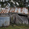 Old Slab hut / Sheering shed / Hay Sheds