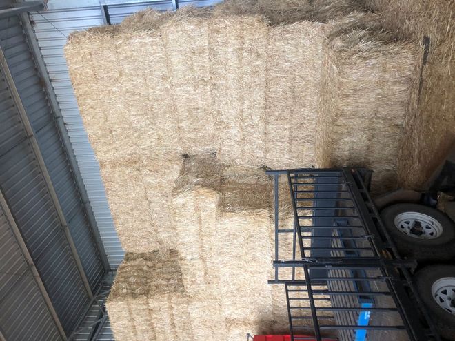 Oaten Hay 600kg 8x4x3 Bales