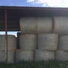 200 Rolls of Pasture Hay off Irrigation