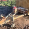 2001 Fuel Trailer With Rego Cages Toolbox and Brakes