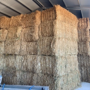 Oaten Hay 8x4x3 Bales